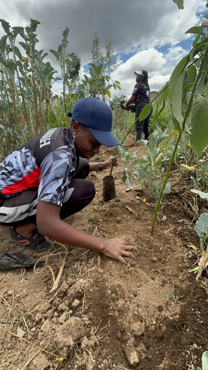 A learner plants a seedling on Mazingira Day